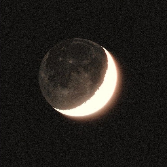 hannierankin2